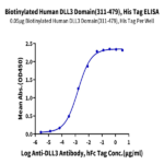 Biotinylated Human DLL3 Domain (311-479) Protein BP003259 Syd Labs