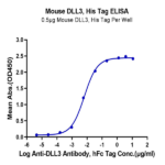 Mouse DLL3 Protein BP005186 Syd Labs