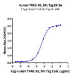 Human TRAIL R2/DR5/TNFRSF10B Protein BP004305 Syd Labs