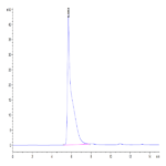 Mouse DSG-2/Desmoglein-2 Protein BP004399 Syd Labs