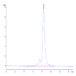 Mouse DSG3 Protein BP004570 Syd Labs