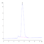 Human ECSCR Protein BP004560 Syd Labs