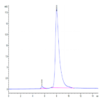 Human EDA2R Protein BP004074 Syd Labs