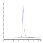 Mouse EDA2R Protein BP004075 Syd Labs