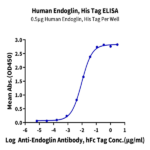 Human Endoglin/CD105 Protein BP005547 Syd Labs