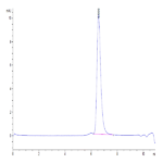 Human Endoglin/CD105 Protein (EDG-HM401)