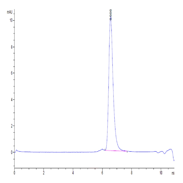 Human Endoglin/CD105 Protein (EDG-HM401)