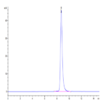 Human/Cynomolgus EFNA3/Ephrin A3 Protein BP003728 Syd Labs