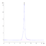 Mouse Ephrin-A3/EFNA3 Protein BP004700 Syd Labs