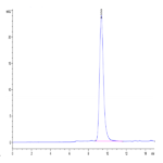 Rhesus macaque EGFR Protein BP004221 Syd Labs