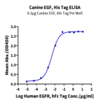 Canine EGF Protein BP003273 Syd Labs