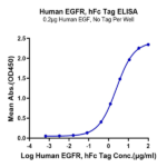 Human EGFR/HER1 Protein BP005446 Syd Labs