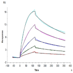 Human EGF Protein BP004010 Syd Labs