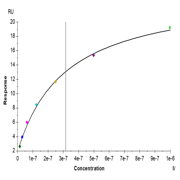 Human EGFR/HER1 Protein (EGF-HM401)