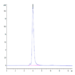 Human EGFR/HER1 Protein (EGF-HM401)