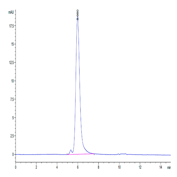 Human EGFR/HER1 Protein (EGF-HM401)