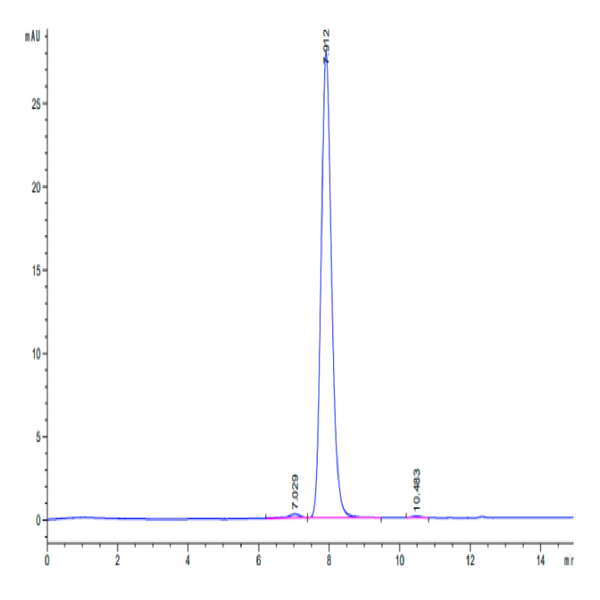 Mouse EGFR/HER1 Protein (EGF-MM101)