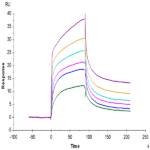 Mouse EGF Protein N-hFc Tag BP004023 Syd Labs