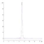 Human Ephrin-B2/EFNB2 Protein BP005087 Syd Labs