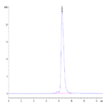 Human ENPP-3 (558-875) Protein BP004259 Syd Labs
