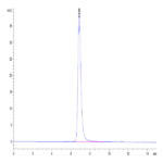Human EphB4 Protein BP005033 Syd Labs