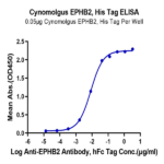 Cynomolgus EPHB2 Protein BP003672 Syd Labs