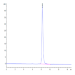 Cynomolgus EPHB2 Protein (EPH-CM102)