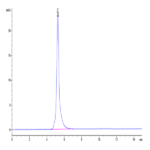 Cynomolgus EPHA2 Protein BP003860 Syd Labs