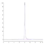 Canine EPHA3 Protein BP003811 Syd Labs