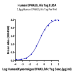 Human EPHA10 Protein BP004645 Syd Labs