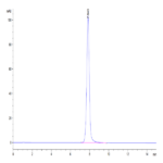 Human EPHA3 Protein BP004406 Syd Labs