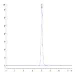 Human EPHA5 Protein BP004876 Syd Labs