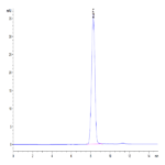 Human EphB3 Protein BP004513 Syd Labs