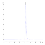 Mouse EPHB2 Protein BP004787 Syd Labs