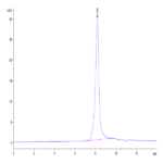 Mouse EPHA10 Protein BP004709 Syd Labs
