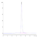Mouse EPHA3 Protein BP004368 Syd Labs