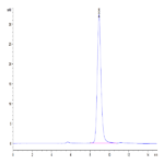 Human EREG Protein BP004586 Syd Labs