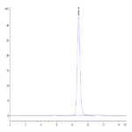 Mouse EREG Protein BP004585 Syd Labs