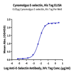 Cynomolgus E-selectin/CD62E Protein BP003995 Syd Labs