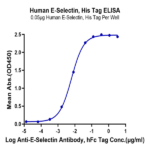 Human E-Selectin/CD62E Protein BP005504 Syd Labs