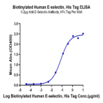 Biotinylated Human E-Selectin/CD62E Protein BP005666 Syd Labs