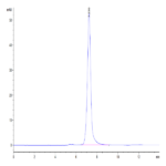 Mouse E-Selectin/CD62E Protein BP004707 Syd Labs