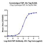 Cynomolgus FAP Protein BP005129 Syd Labs