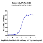 Human FAP Protein BP004822 Syd Labs