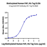 Biotinylated Human FAP Protein BP005663 Syd Labs
