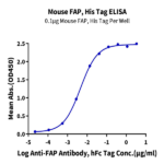 Mouse FAP Protein BP004823 Syd Labs