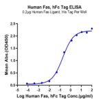 Human Fas/TNFRSF6/CD95 Protein BP005166 Syd Labs
