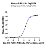 Human FcRH5/FcRL5 Protein BP003531 Syd Labs