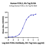 Human FCRL2/IRTA4 Protein BP004337 Syd Labs