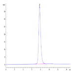 Human Fc gamma RIIA/CD32a (R167) Protein (FCR-HM42A)